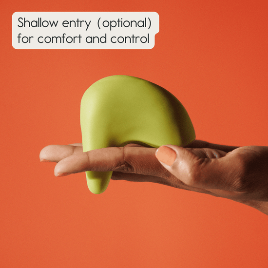 Kiwi Essentials Bundle