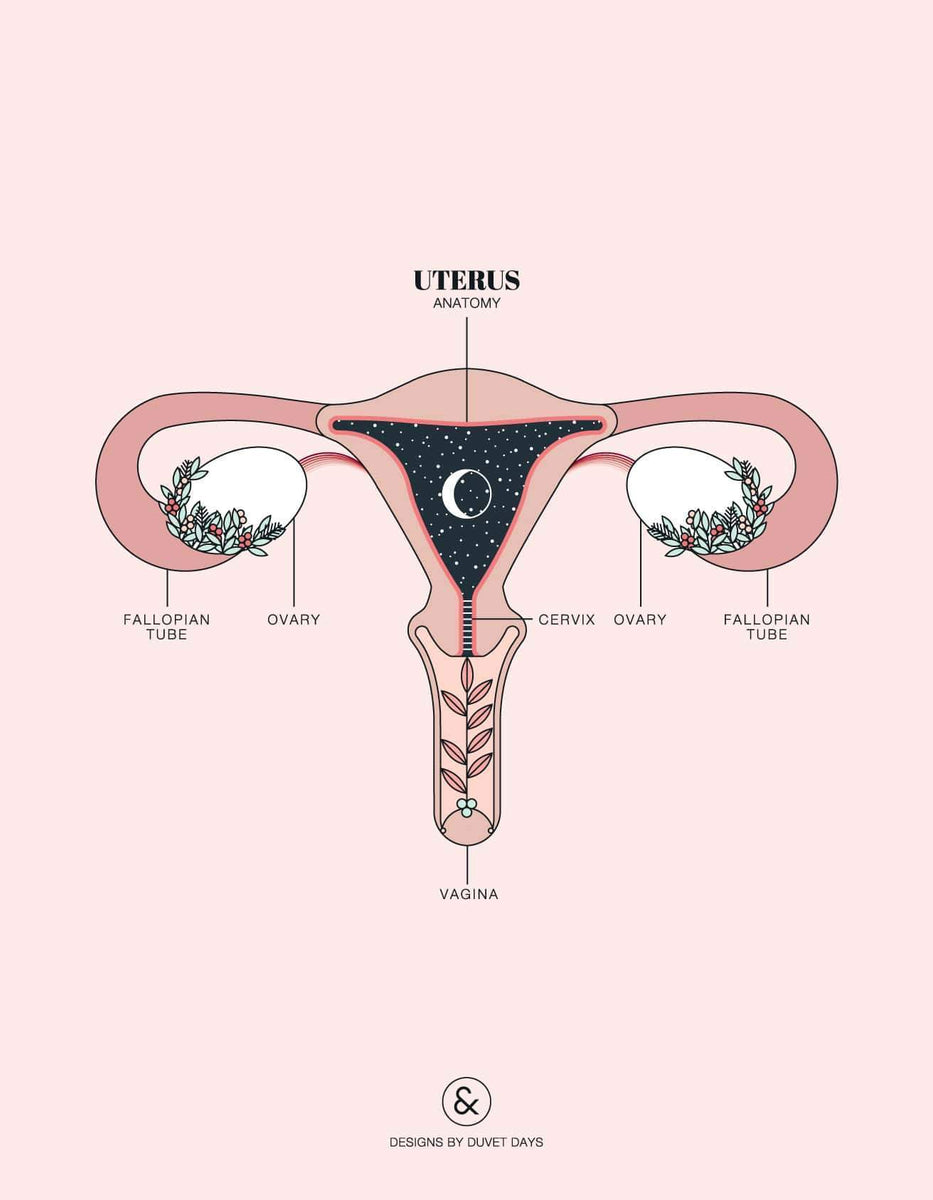 Why is sex painful? pt. I: Common reasons why you might be feeling dee The Pelvic People Why is sex painful? pt. I: Common reasons why you might be feeling dee The Pelvic People