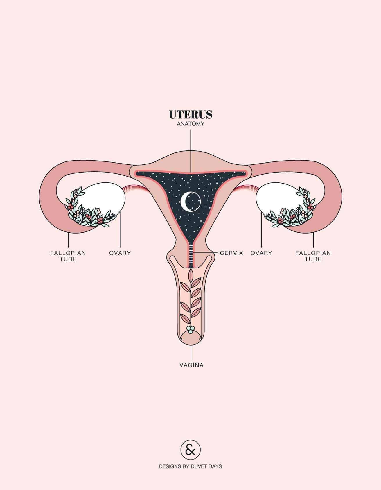 Why is sex painful? pt. I: Common reasons why you might be feeling dee   The Pelvic People