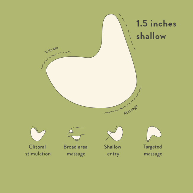 Kiwi Essentials Bundle