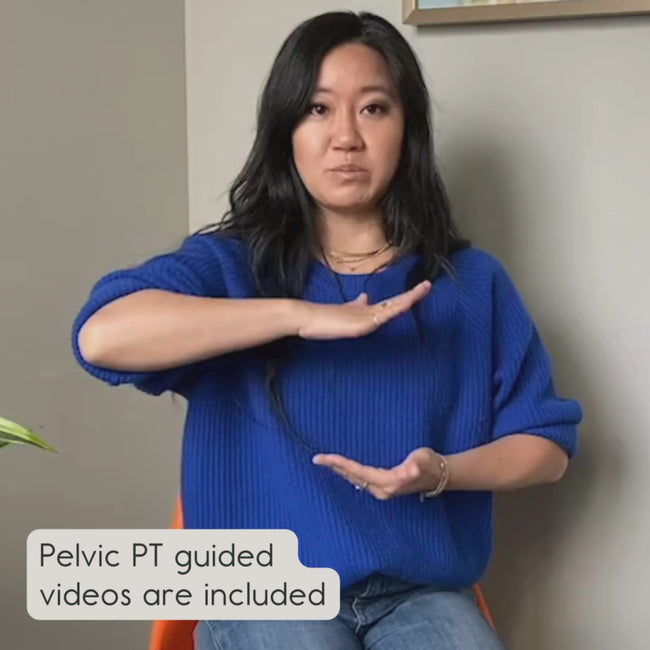 Kiwi Essentials Bundle